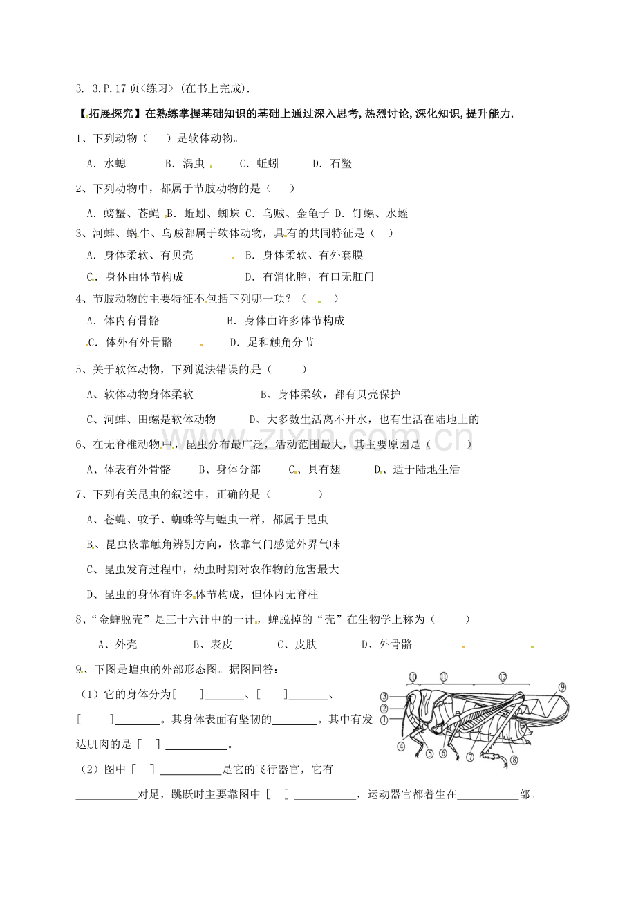 八年级生物上册-513-软体动物和节肢动物学案无答案新版新人教版.doc_第2页