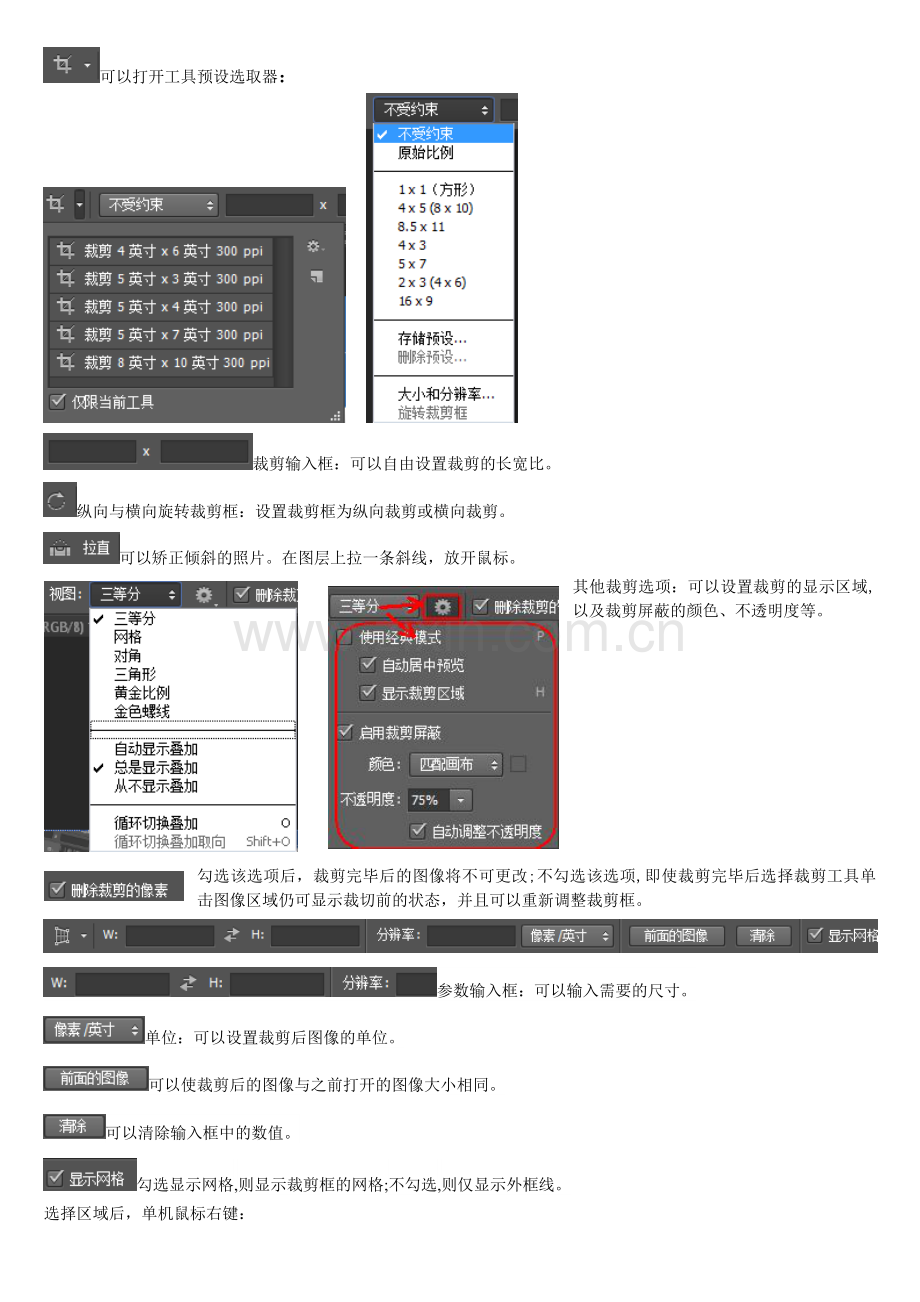 PSCS6工具栏及其属性.doc_第3页