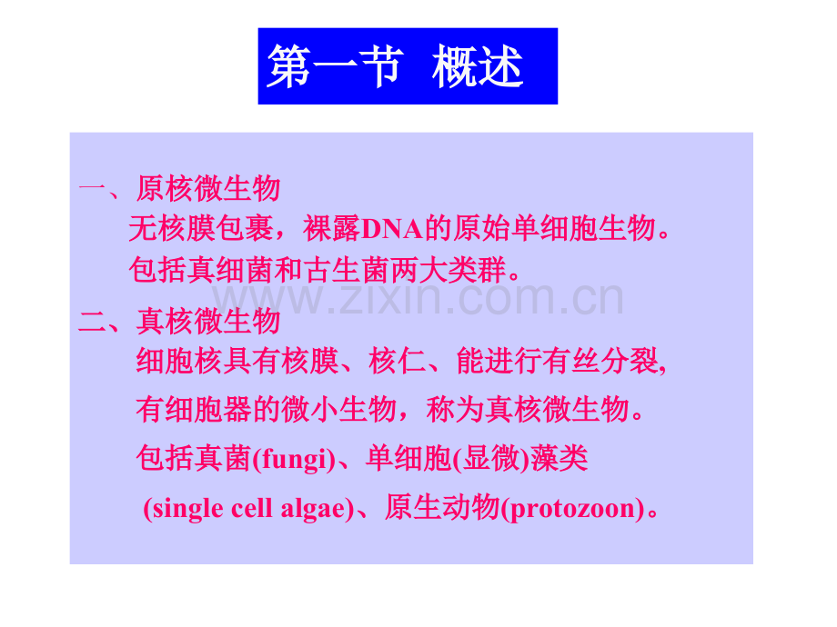 微生物的形态和结构1.pptx_第1页