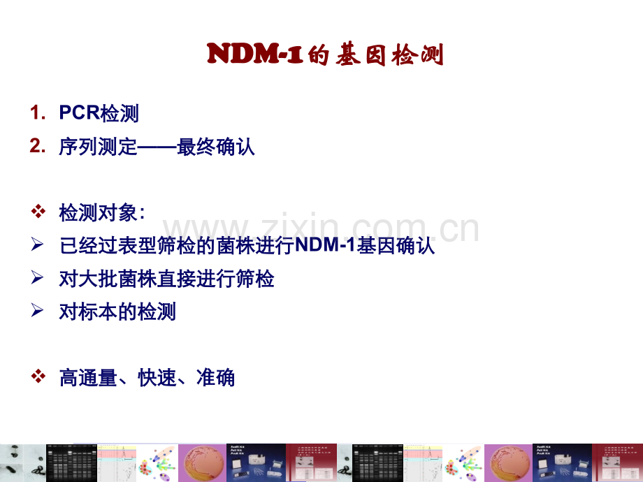 NDM基因的检测与确认.pptx_第2页