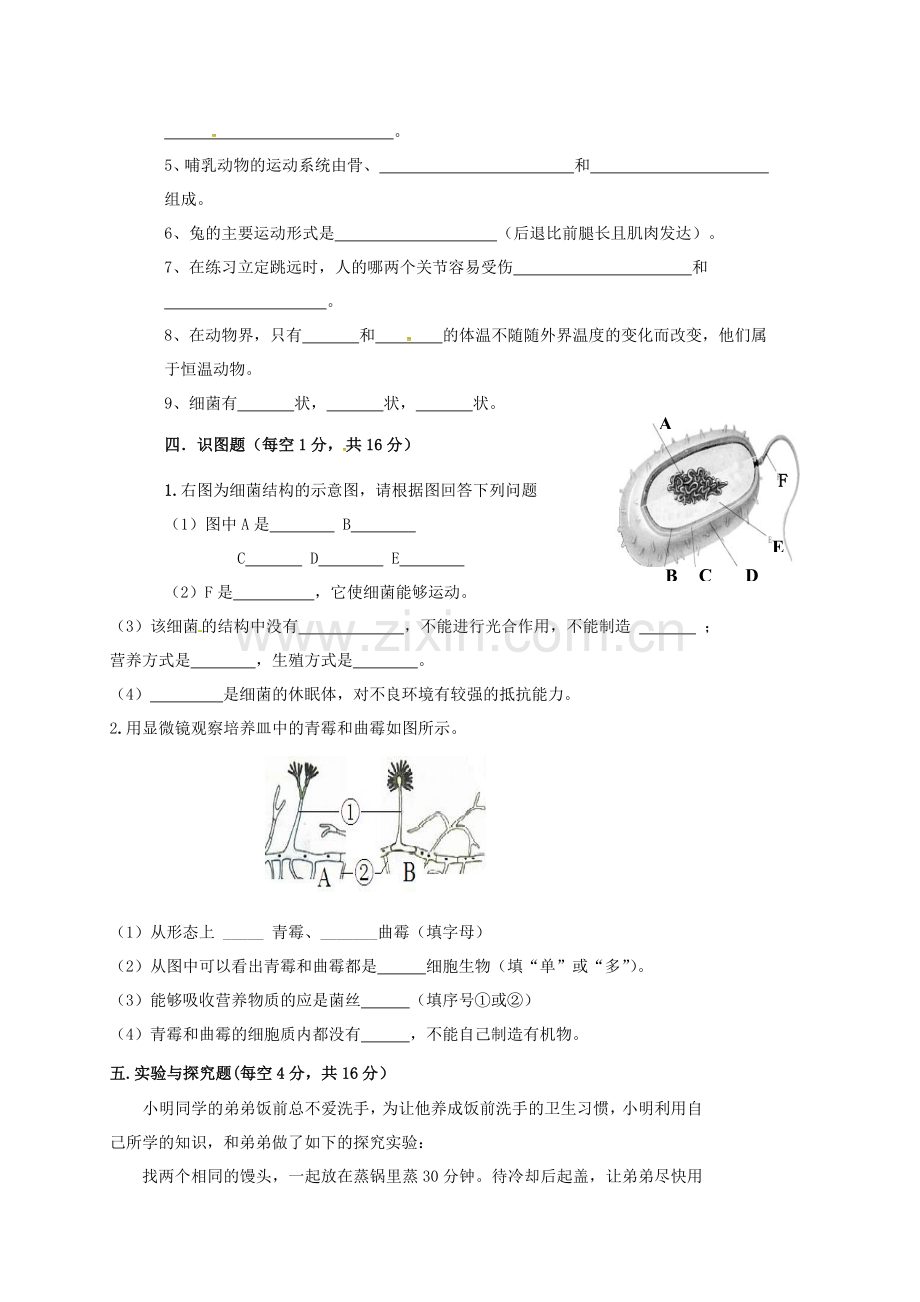 八年级生物上学期期末试题3.doc_第3页