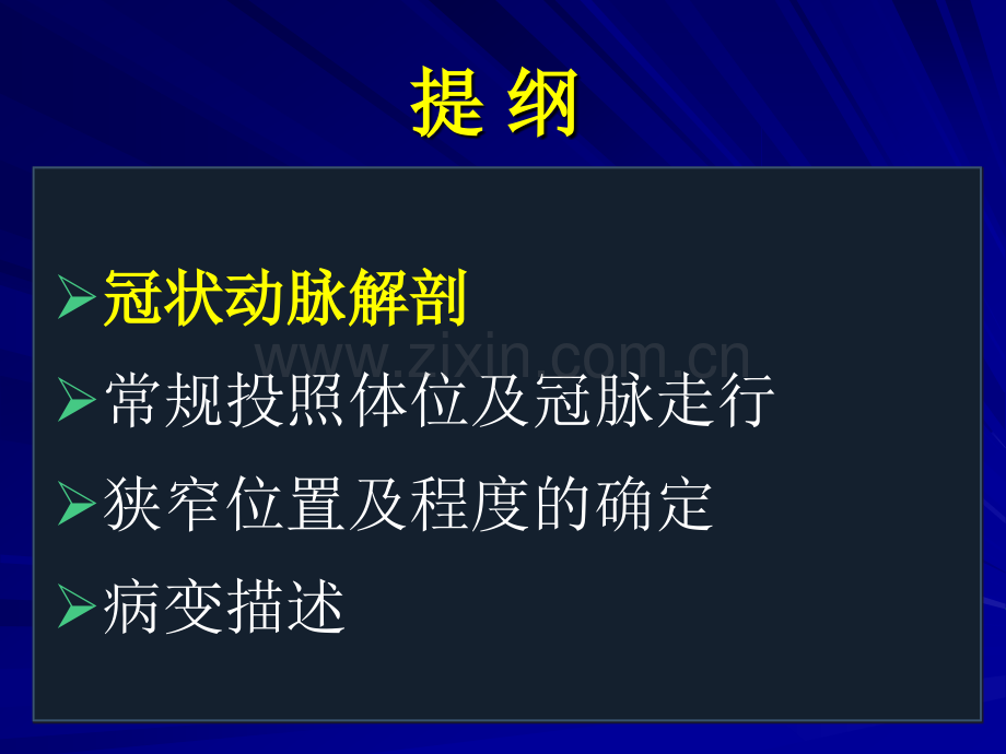 冠状动脉造影的正确判读.pptx_第2页