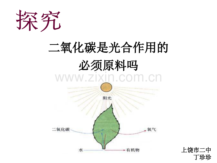 初中生物创新实验说课.pptx_第1页