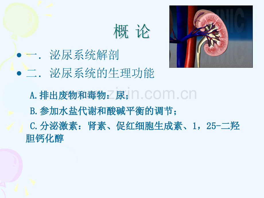 兽医外科手术学——泌尿器官疾病.pptx_第2页