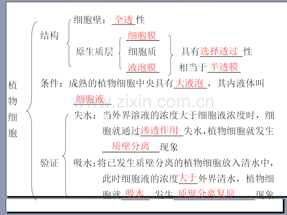 高三生物步步高一轮复习人教版时物质跨膜运输的实例.pptx_第3页