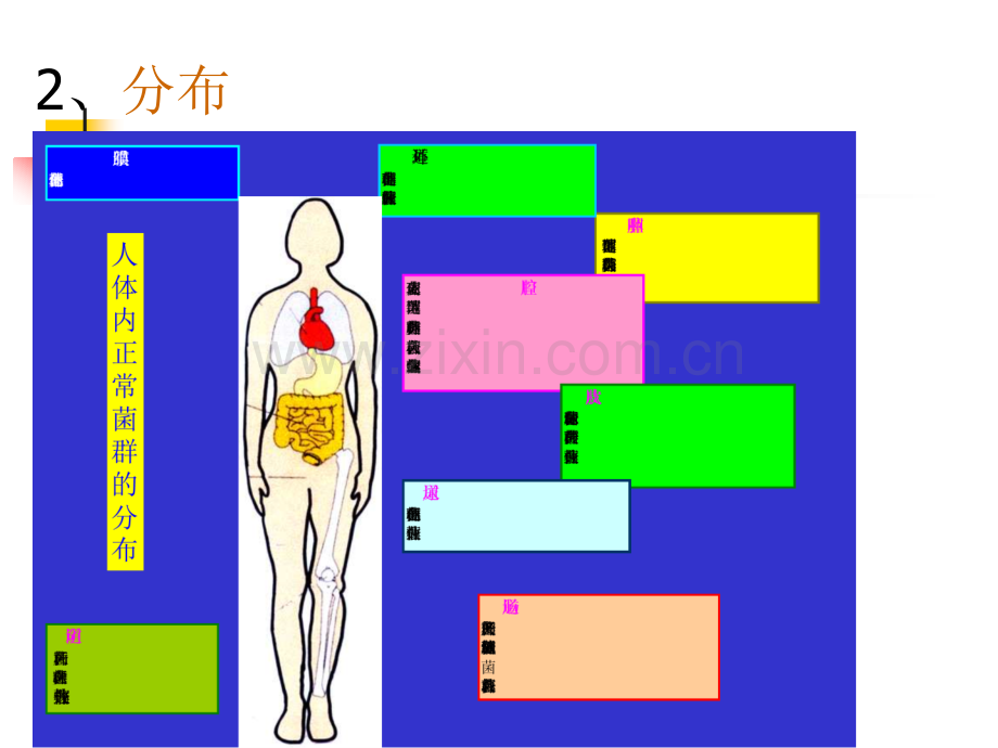 3消毒灭菌.pptx_第3页