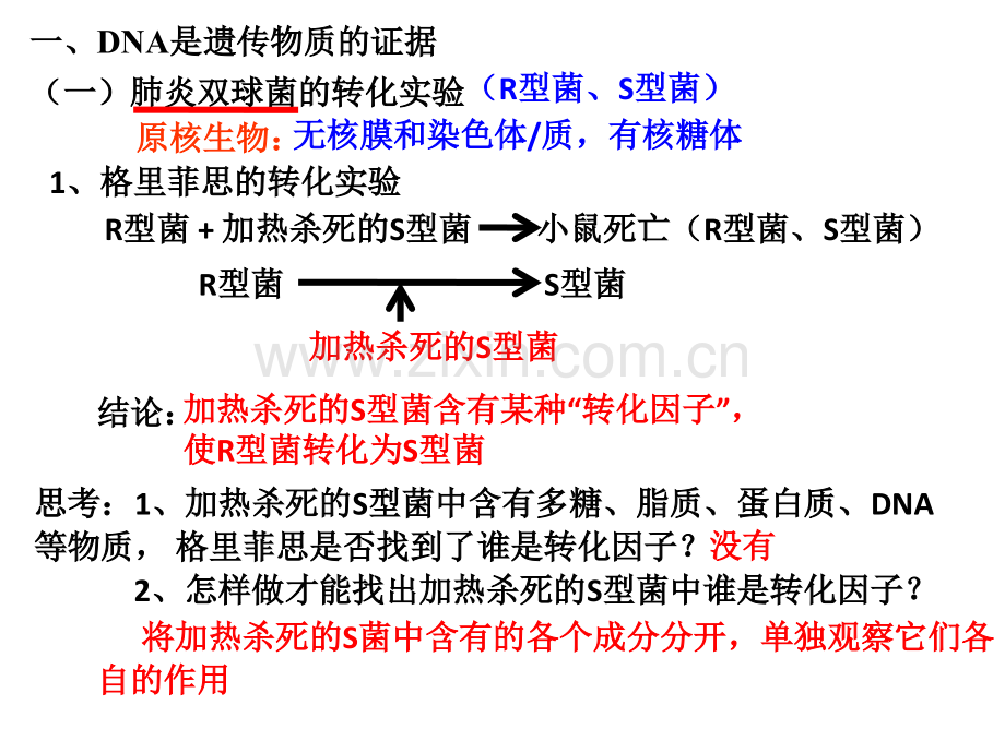 高三第一轮复习之DNA是主要遗传物质.pptx_第2页