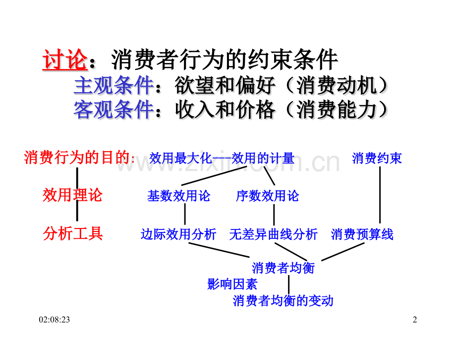 chap消费者行为理论.pptx_第2页