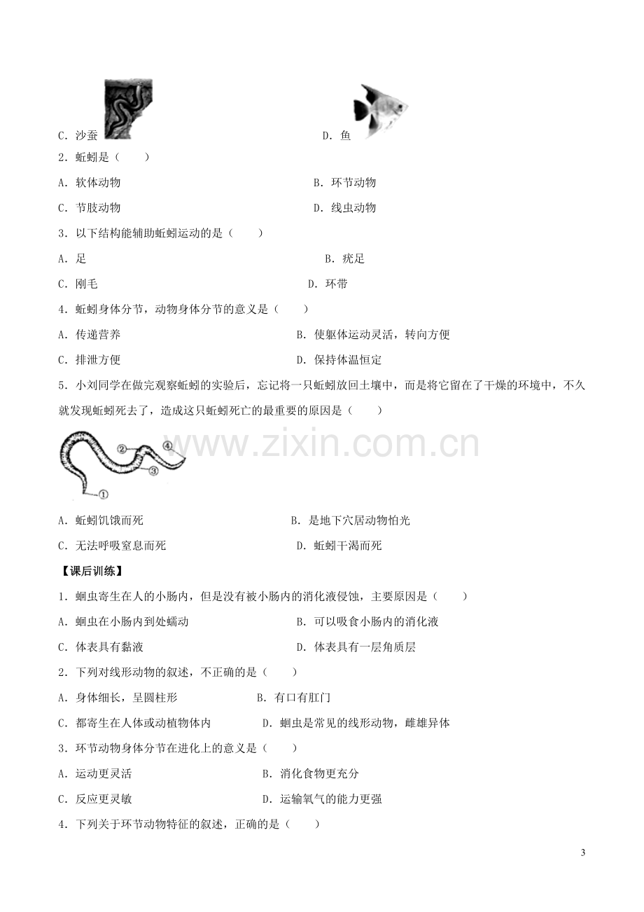 八年级生物上册----线形动物和环节动物导学案1-新版新人教版1.doc_第3页