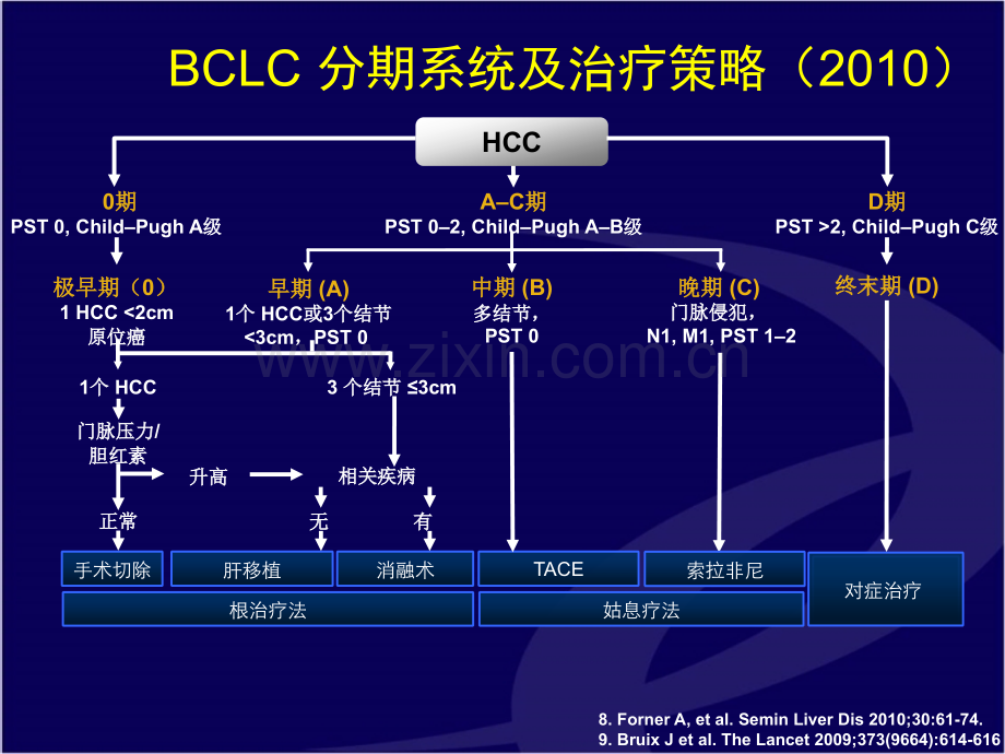 BCLC指南和肝癌患者的综合治疗.pptx_第3页