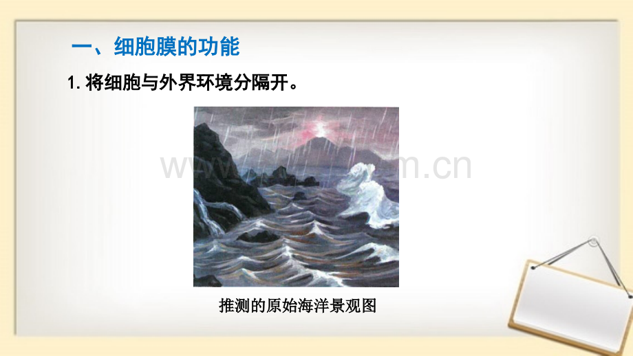 细胞膜的结构和功能含动画新教材人教版必修.pptx_第3页