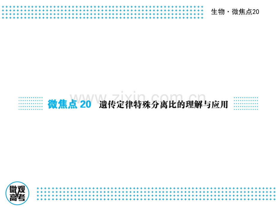 高三生物二轮复习微焦点20遗传定律特殊分离比的理解与应用共41张.pptx_第1页