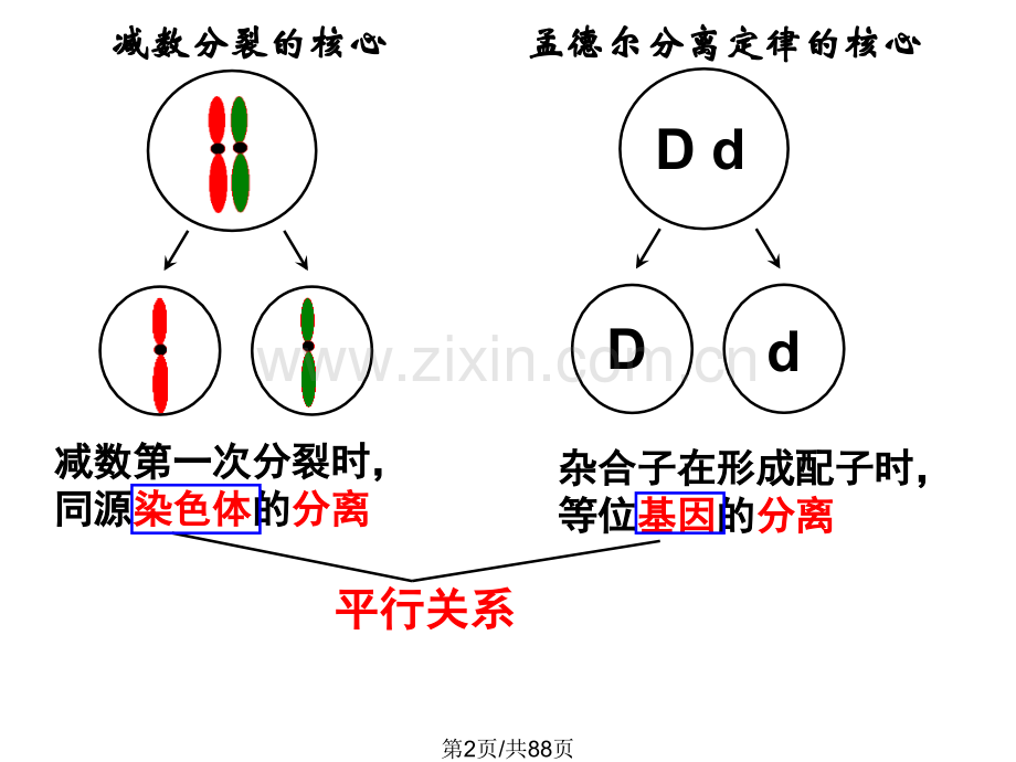 伴性遗传人类遗传病.pptx_第2页