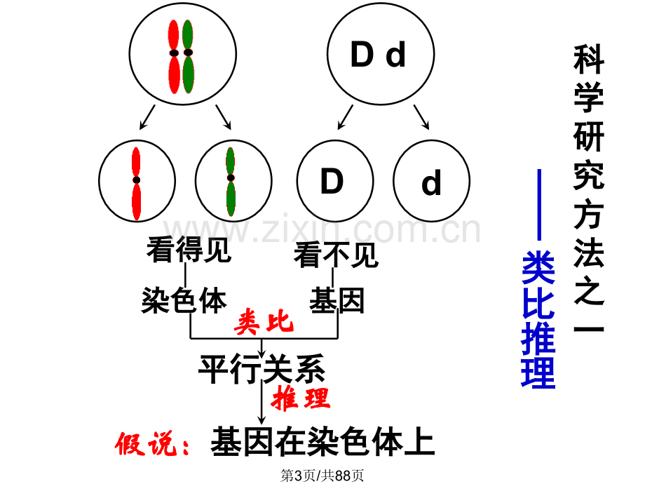 伴性遗传人类遗传病.pptx_第3页