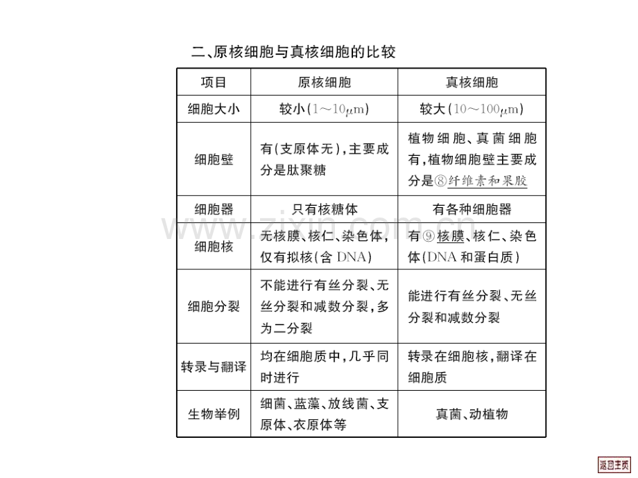 高三生物细胞核和生物膜系统.pptx_第2页