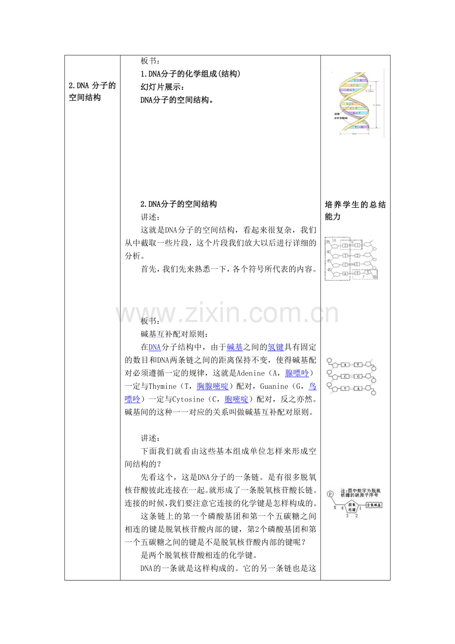 2013人教版必修二dna分子的结构word教案.doc_第3页