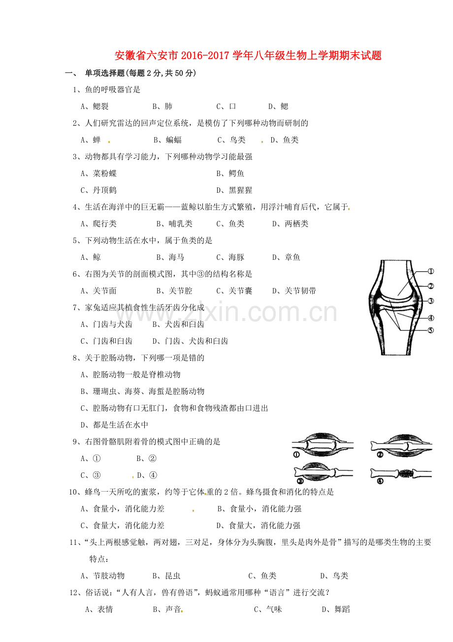 八年级生物上学期期末试题无答案.doc_第1页