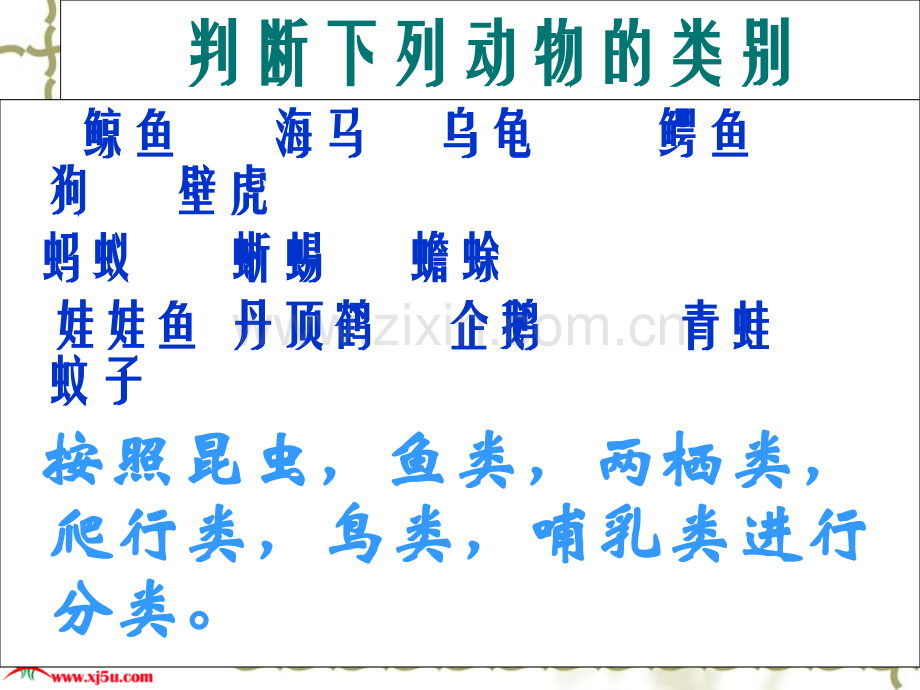 鄂教小学科学五年级上册池塘中的植物.pptx_第2页