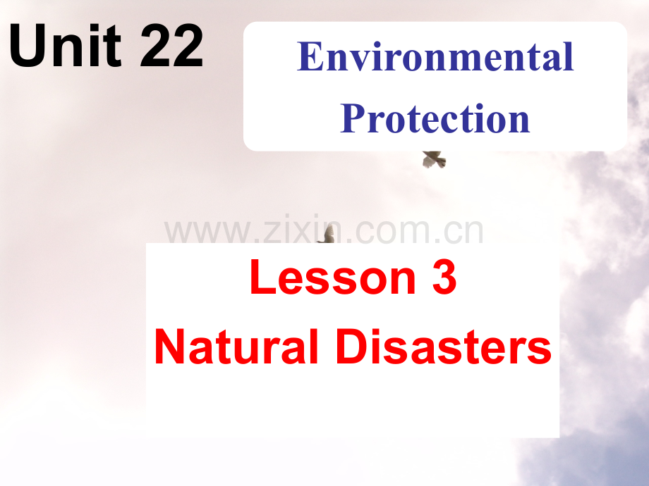 Lesson3NaturalDisasters.pptx_第1页