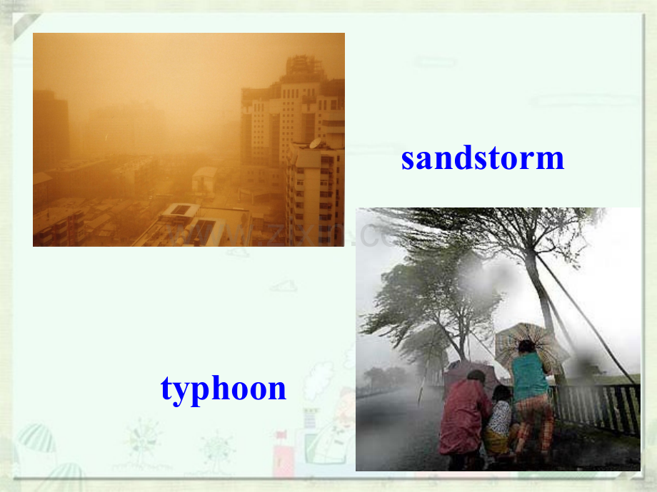 Lesson3NaturalDisasters.pptx_第3页