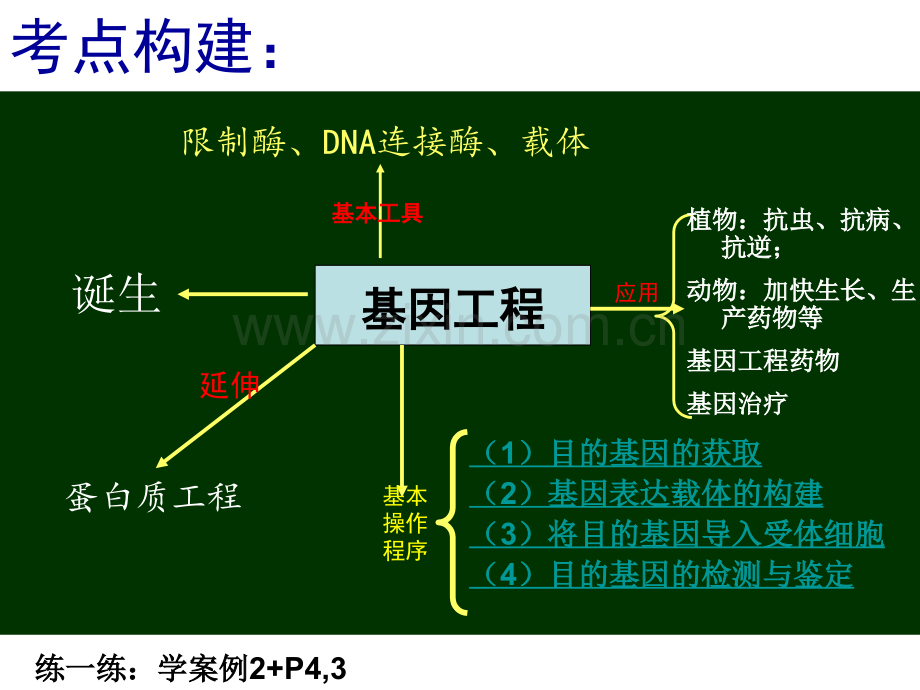 二轮复习基因工程概要.pptx_第3页