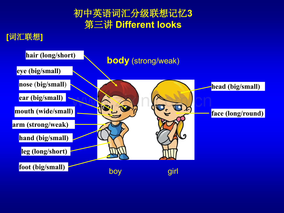 初中英语词汇分级联想记忆3Differentlooks.pptx_第1页