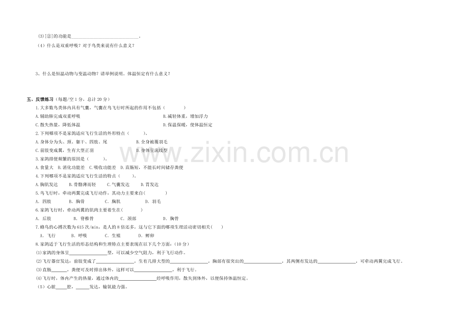 八年级生物上册-516-鸟导学案无答案新版新人教版1.doc_第3页