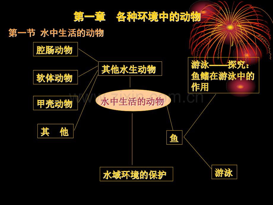 八年级生物上中期复习.pptx_第1页