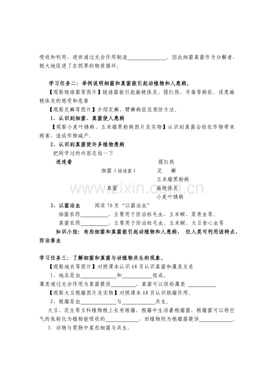 初中生物八年级上册细菌和真菌在自然界中的作用学案.doc_第2页