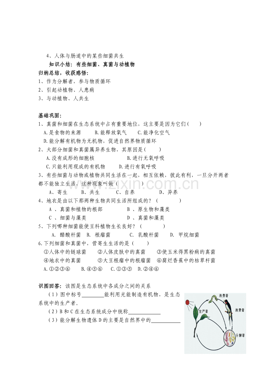 初中生物八年级上册细菌和真菌在自然界中的作用学案.doc_第3页