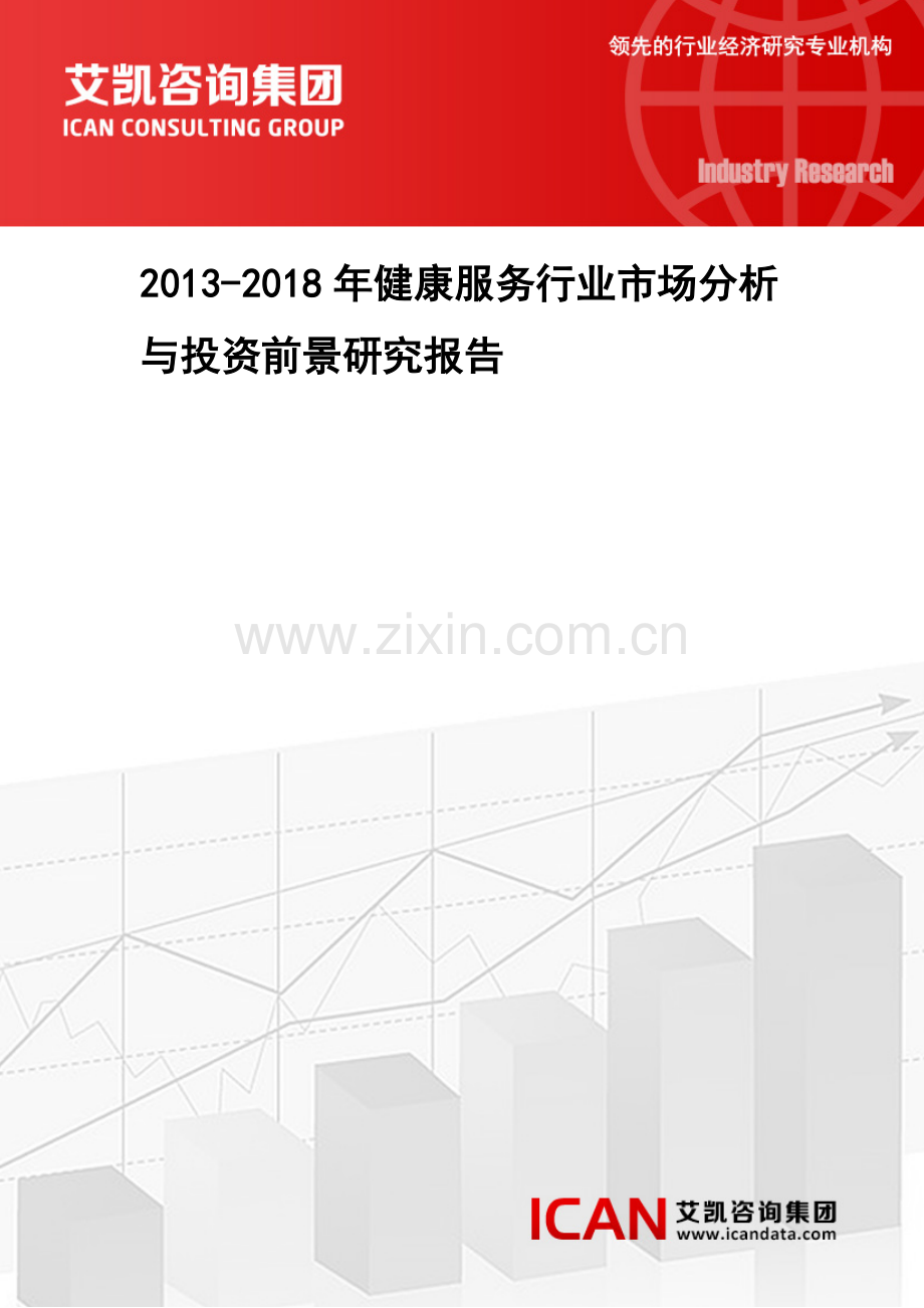 2013健康服务行业市场分析与投资前景研究报告.docx_第1页