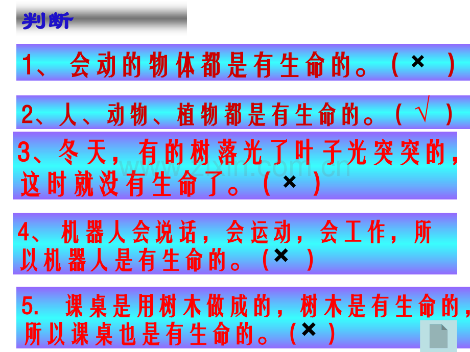 三年级科学校园里的植物.pptx_第2页