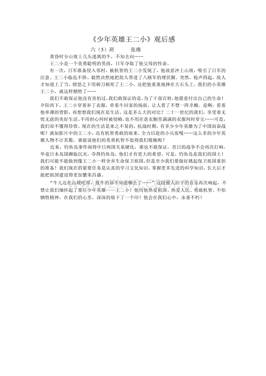 王二小观后感.doc_第1页