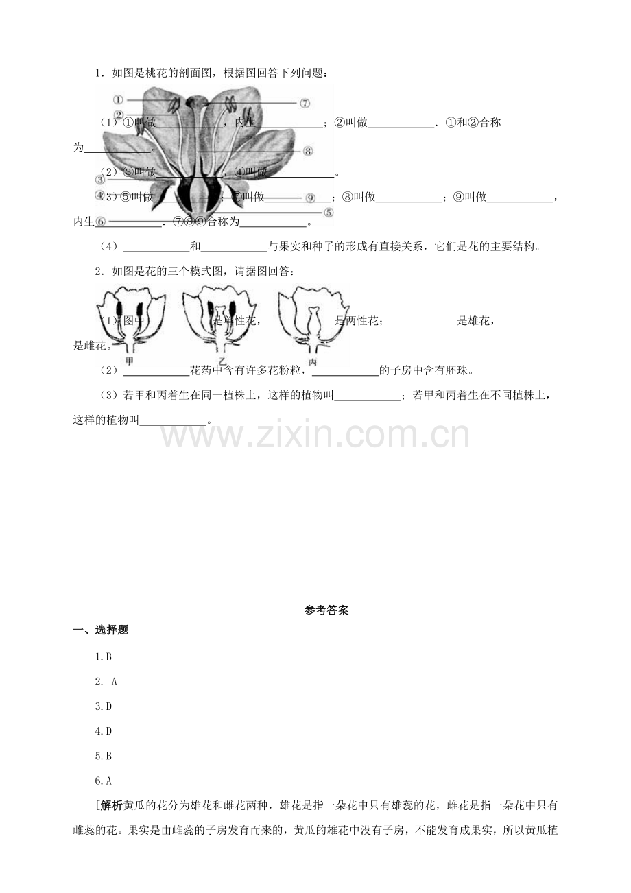 八年级生物上册-11花的结构和类型练习-新版济南版1.doc_第2页