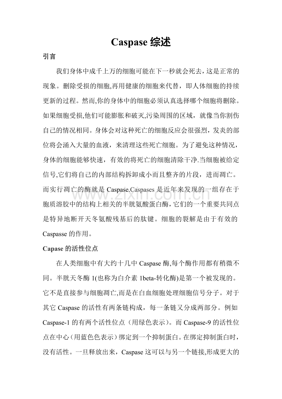 caspase9的综述.doc_第1页