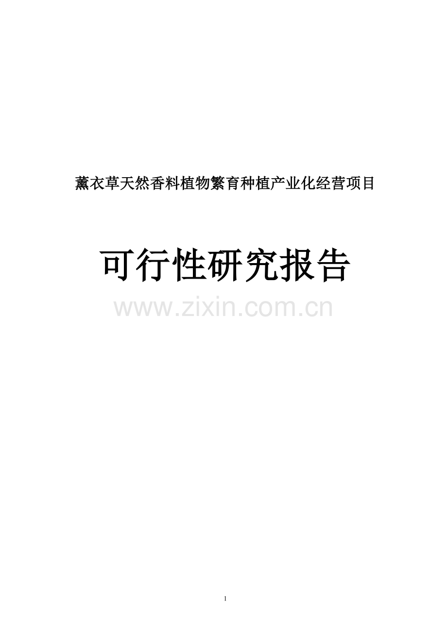 薰衣草天然香料植物繁育种植产业化经营项目可行性研究报告.doc_第1页