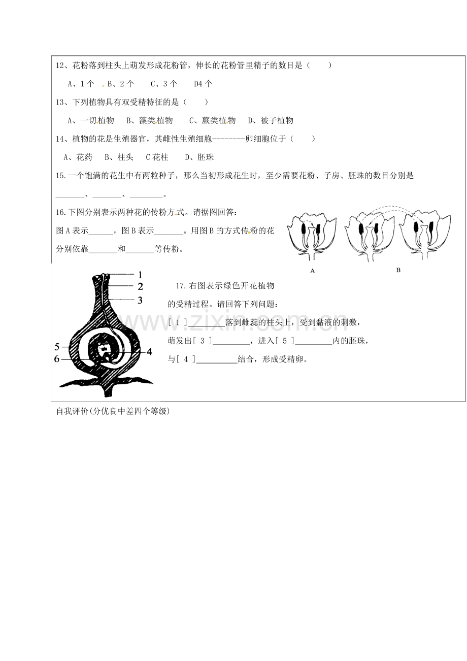 八年级生物上册-412-传粉和受精学案无答案新版济南版.doc_第3页