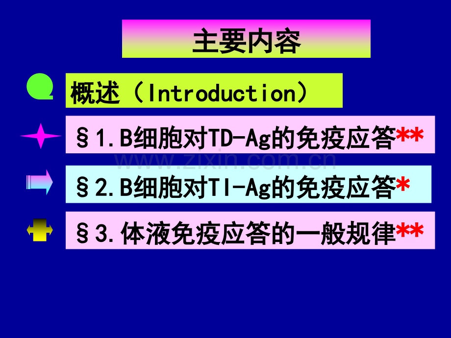 B细胞对抗原的识别和应答.pptx_第3页