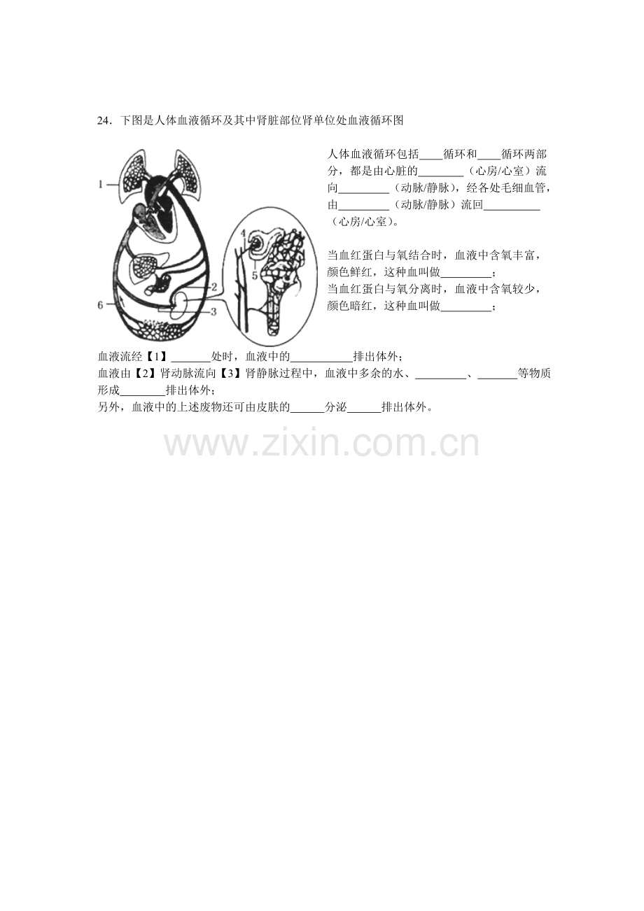 七年级下册生物竞赛试卷.doc_第3页