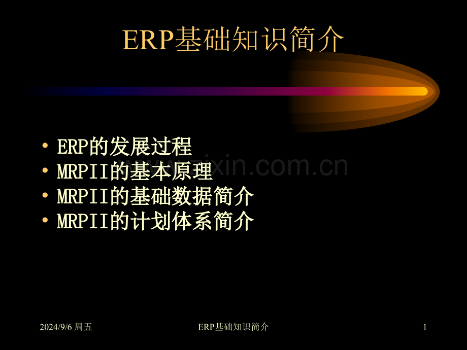 ERP基础知识简介.pptx_第1页