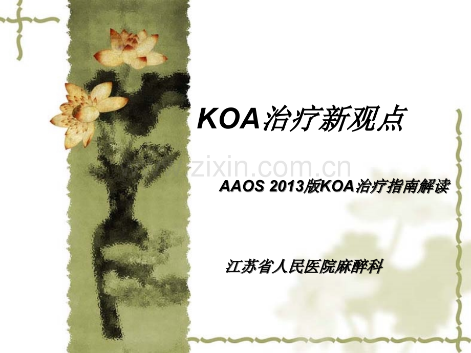 KOA治疗新观点.pptx_第1页