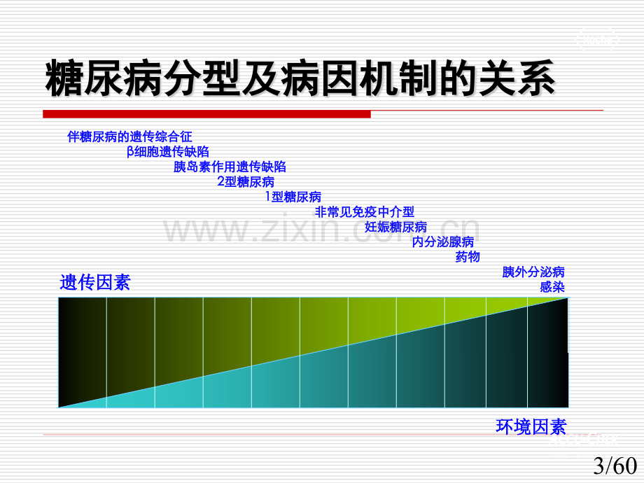 内科糖尿病防治.pptx_第3页