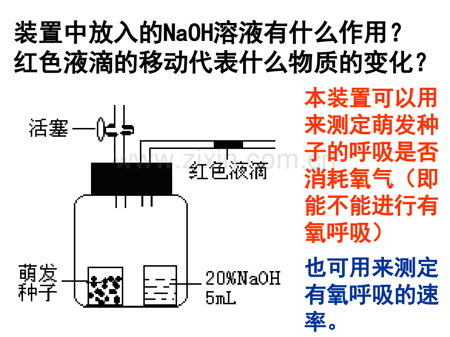 高三生物光合作用与呼吸作用实验装置的运用分解.pptx_第3页