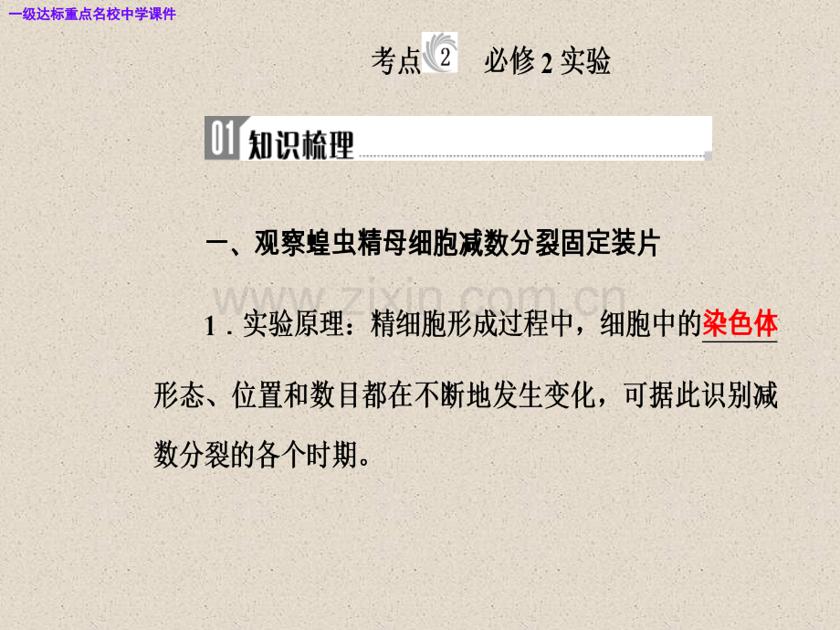 高三生物复习精讲精练之专题十七考点2必修2实验.pptx_第2页