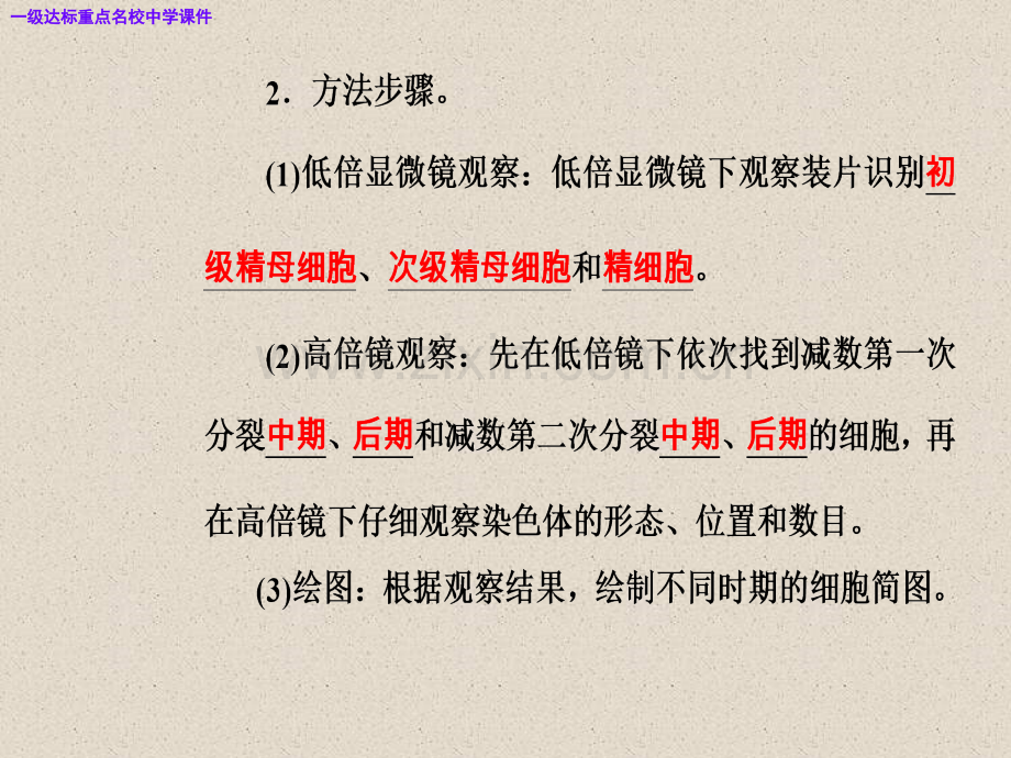 高三生物复习精讲精练之专题十七考点2必修2实验.pptx_第3页