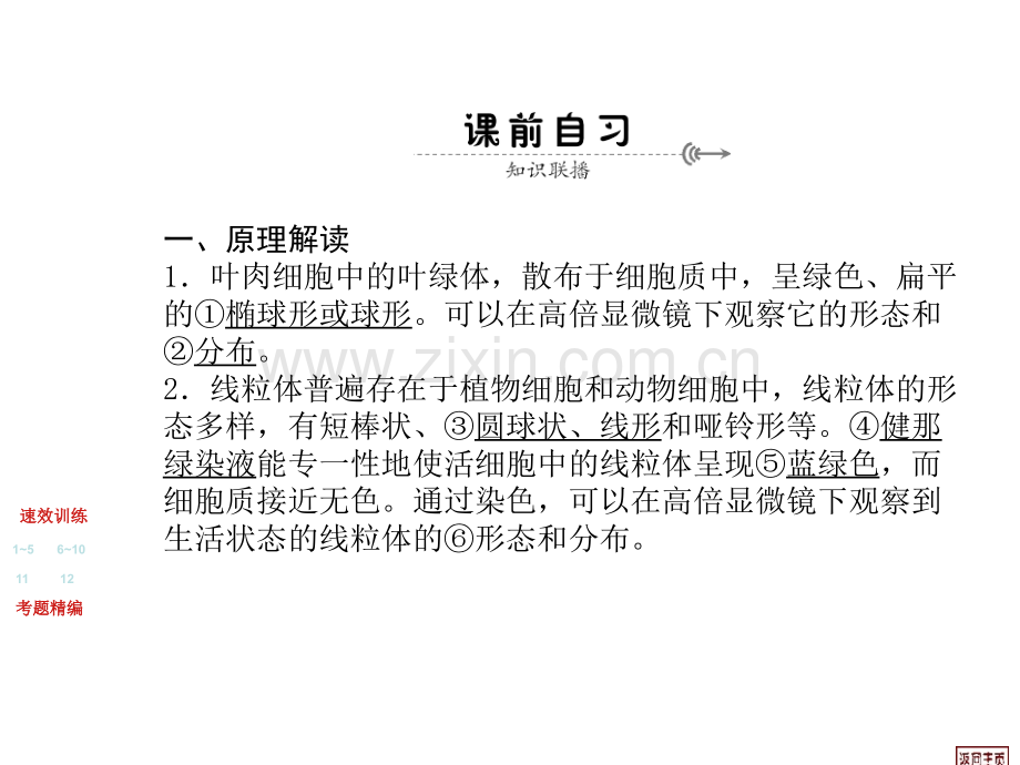 高三生物复习必修1分子与细胞细胞基本结构实验用高倍镜观察叶绿体和线粒体.pptx_第2页