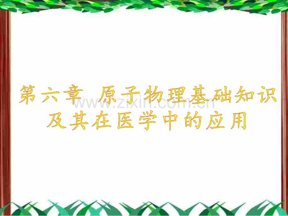 6原子物理基础知识及其在医学中的应用.pptx_第1页