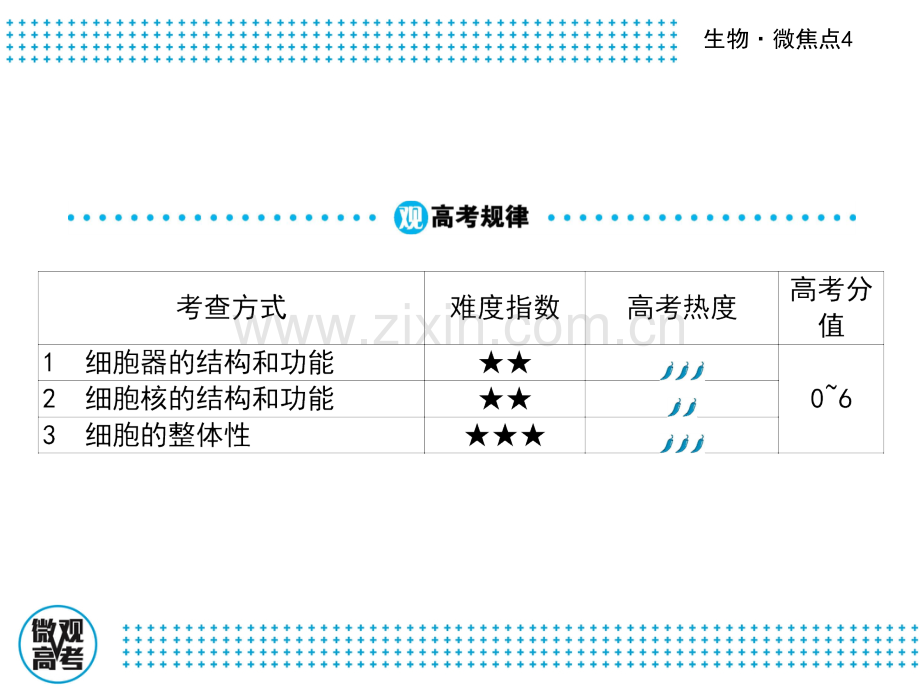 高三生物二轮复习微焦点4对细胞器细胞核的形态结构和功能的理解-共39张.pptx_第2页