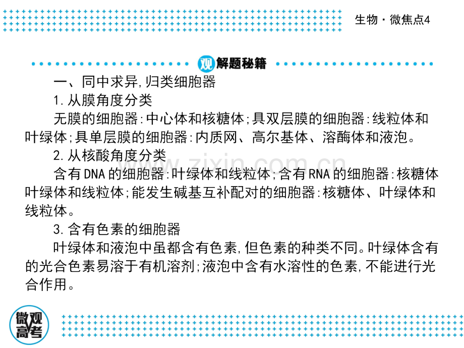 高三生物二轮复习微焦点4对细胞器细胞核的形态结构和功能的理解-共39张.pptx_第3页