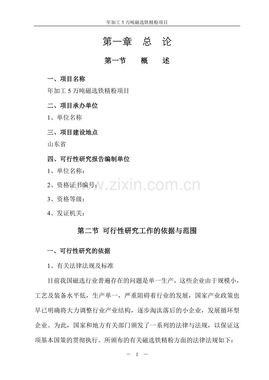 某年加工5万吨磁选铁精粉项目申请建设可行性研究报告.doc_第2页